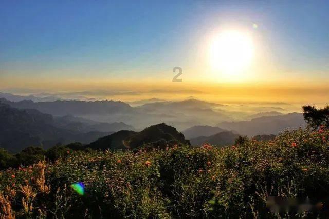 现在2月28号还可以打促小麦除草剂吗？游戏画面
